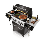 "barbecue regal 490"