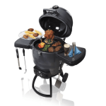 "barbecue a pellet keg 5000 kamado"