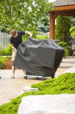 COPERTURA REGAL 490, 440, 420 - immagine 2