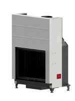 RUEGG - Violino 55x73